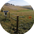 采用電子圍欄響應國家環保政策